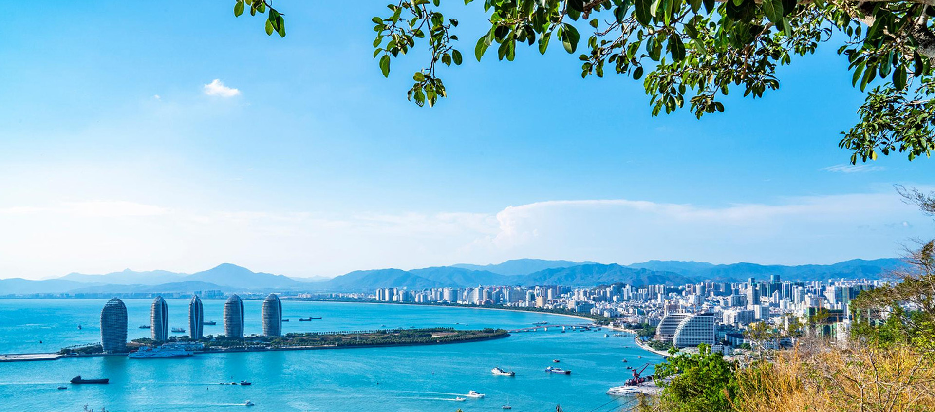 低分上线全日制本科