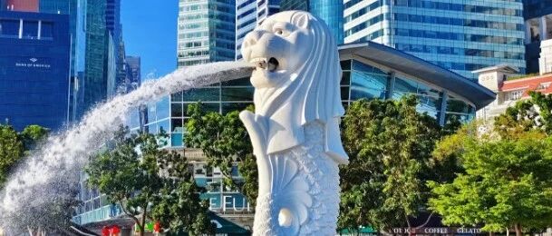 一诊成绩作参考，海外高校来保底！