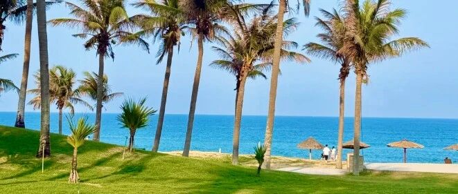 零关税 + 国际学校， 海南教育 凭什么吸引全国家庭？